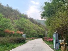 -木兰云雾山