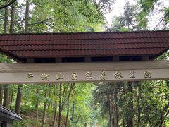 -午潮山国家森林公园