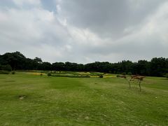 -宜兴龙背山森林公园