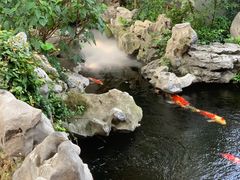 -鲤院·新中式美学·庭院餐厅(夫子庙店)