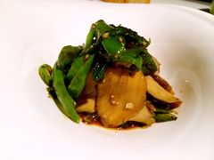 西郊5号-西郊5号·Maggie 5