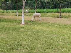 -江苏三台山国家森林公园