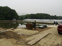 -胜丰草莓采摘园