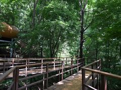 -吉林市朱雀山国家森林公园