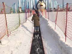 -沈阳奥体冰雪嘉年华
