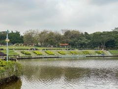 -东莞植物园