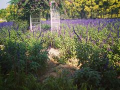 -广东花都香草世界旅游度假区