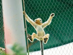 -杭州野生动物世界