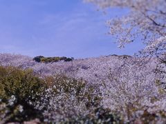 -光福景区