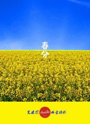 -艾米丽儿童摄影
