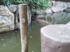 -长鹿旅游休博园