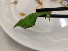 -同济大酒店(绿宝广场店)
