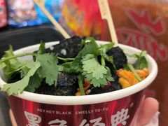 -黑色经典臭豆腐·湖南特产(坡子街特产局店)