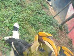 -贵州森林野生动物园