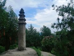 -白水寺森林公园