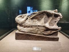 -自贡恐龙博物馆