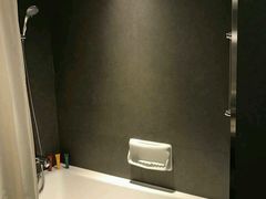 -新加坡乌节希尔顿酒店 (SG Clean)