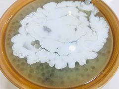 五加-糖潮糖水铺(省府店)