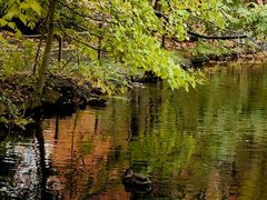 -北海道厅旧本厅舍(旧本庁舎)