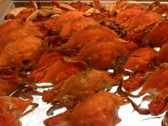 -重庆悦来温德姆酒店