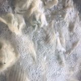 人生不易牌饺子