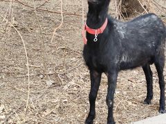 -北运河水利风景区
