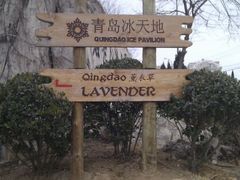 android_upload_pic-石老人观光园
