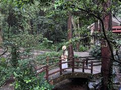 -火炉山森林公园