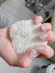-今玥美甲美睫