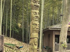 -天目湖山水园