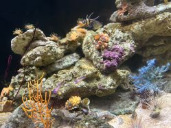 -Zoolung Zoolung动物主题公园(海信广场店)