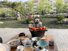 -月栖华明-云间草堂清茶馆(泗泾古镇店)