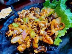 火辣八爪鱼-红小姐的烤肉店(西三旗店)