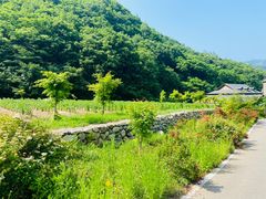 -大连天门山国家森林公园