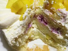 -维尔纳斯·生日蛋糕·动物奶油冰淇淋蛋糕(六里桥店)