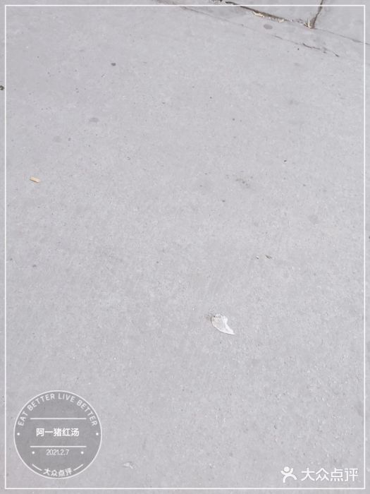阿一猪红汤(东风西路店)图片