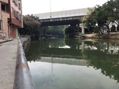 -小洲村