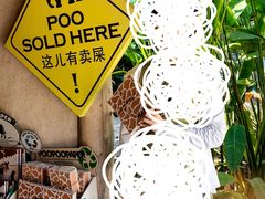 -大象粑粑造纸公园
