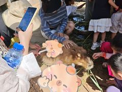 -西霞口神雕山野生动物世界