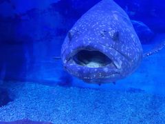 -多彩贵州城极地海洋世界