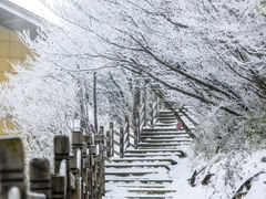 -光雾山旅游景区