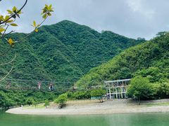 -杨家寨