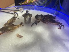 -享遇.锅姥姥牛排海鲜自助(小寨店)