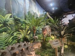 -陕西自然博物馆