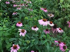 -贵阳市花溪国家城市湿地公园