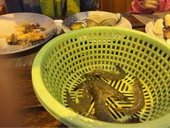 picture-三亚亚龙湾天域度假酒店