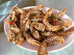 -红月湾海鲜饭店•沙滩海景(双月湾店)