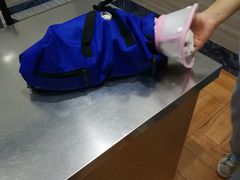 -瑞派名望志远动物医院·猫科·內科·异宠专科(直港大道店)