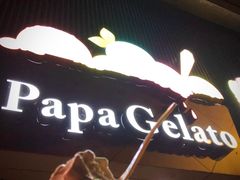 -Papa Gelato 纯手工冰淇淋