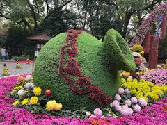 -杭州植物园